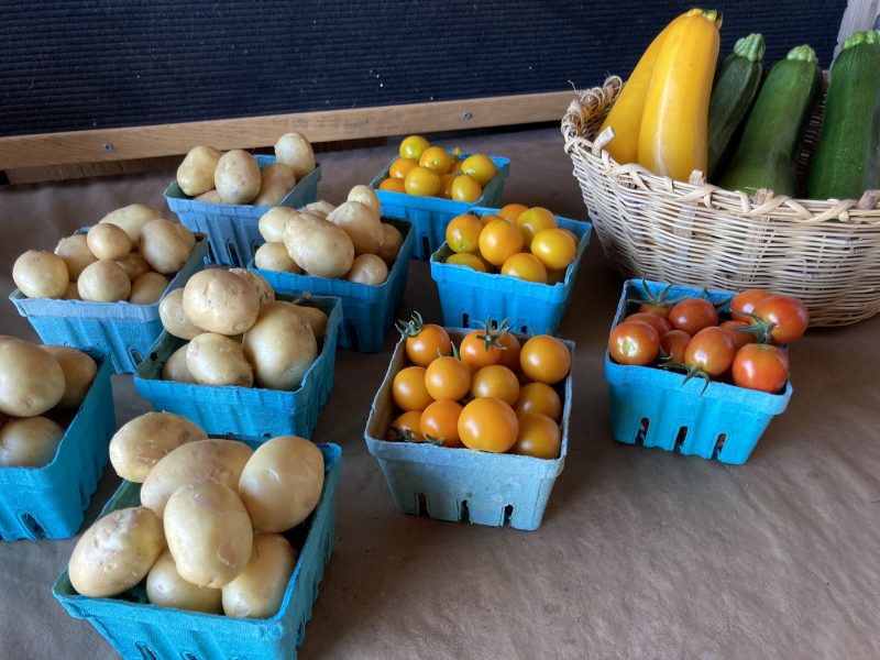 74A3654F-4DD9-4106-8F34-6538FEBFA83E